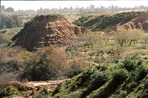 Nakhal Besor (ancient Eshkol)